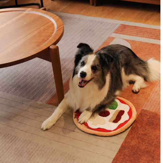 Pizza Sniffing Mat for Dogs | Interactive Puzzle Feeder - Petstify