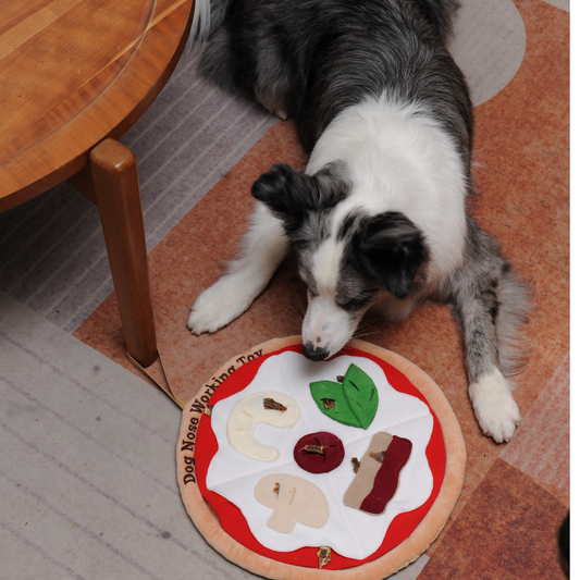 Pizza Sniffing Mat for Dogs | Interactive Puzzle Feeder - Petstify