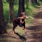 Wild Wonders Durable Plush Dog Toys | Tough Rope & Lining - Petstify
