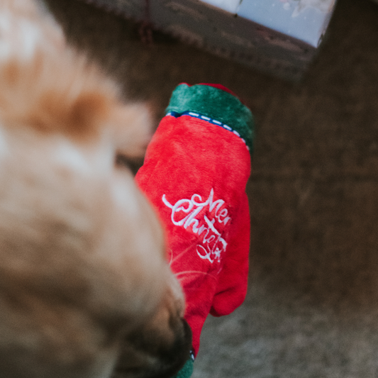 Christmas Puzzle Treat Dispensing Dog Toy | Festive Fun - Petstify