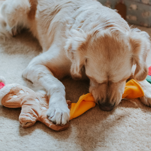 Christmas Puzzle Treat Dispensing Dog Toy | Festive Fun - Petstify