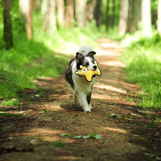 No Hunting Range Plush Animal Toys | Eco-Friendly Wildlife - Petstify