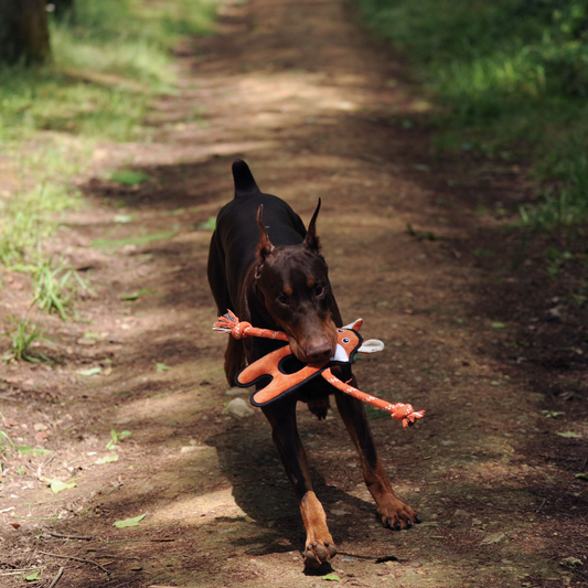 Wild Wonders Durable Plush Dog Toys | Tough Rope & Lining - Petstify