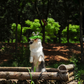 Jungle Plush Dog Toys | Eco-Friendly Alligator, Flamingo & More - Petstify