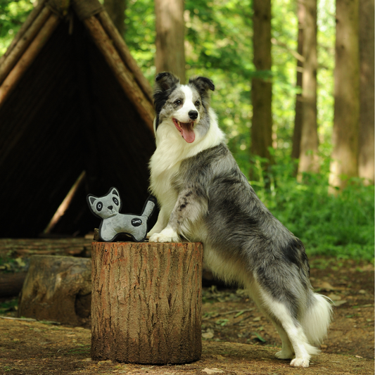 No Hunting Range Plush Animal Toys | Eco-Friendly Wildlife - Petstify