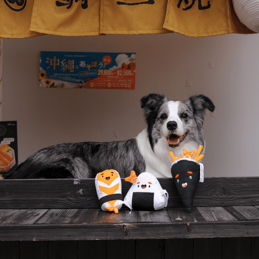 A Border Collie dog posing at a Japanese food stall with the full set of Petstify I Love Sushi plush toys.