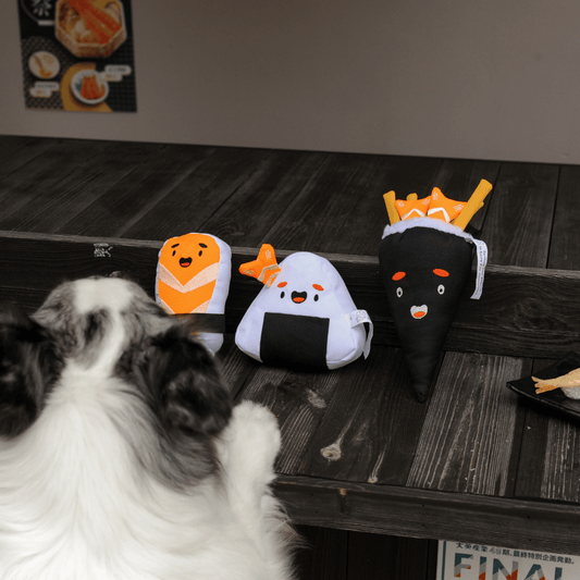A small dog looking up at the complete Petstify I Love Sushi plush toy collection on a table.