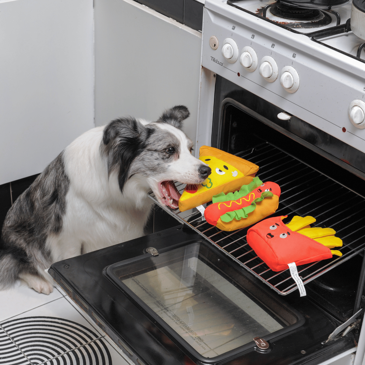 A Border Collie dog comically looking at Petstify plush food toys like pizza and a hotdog on an oven rack.