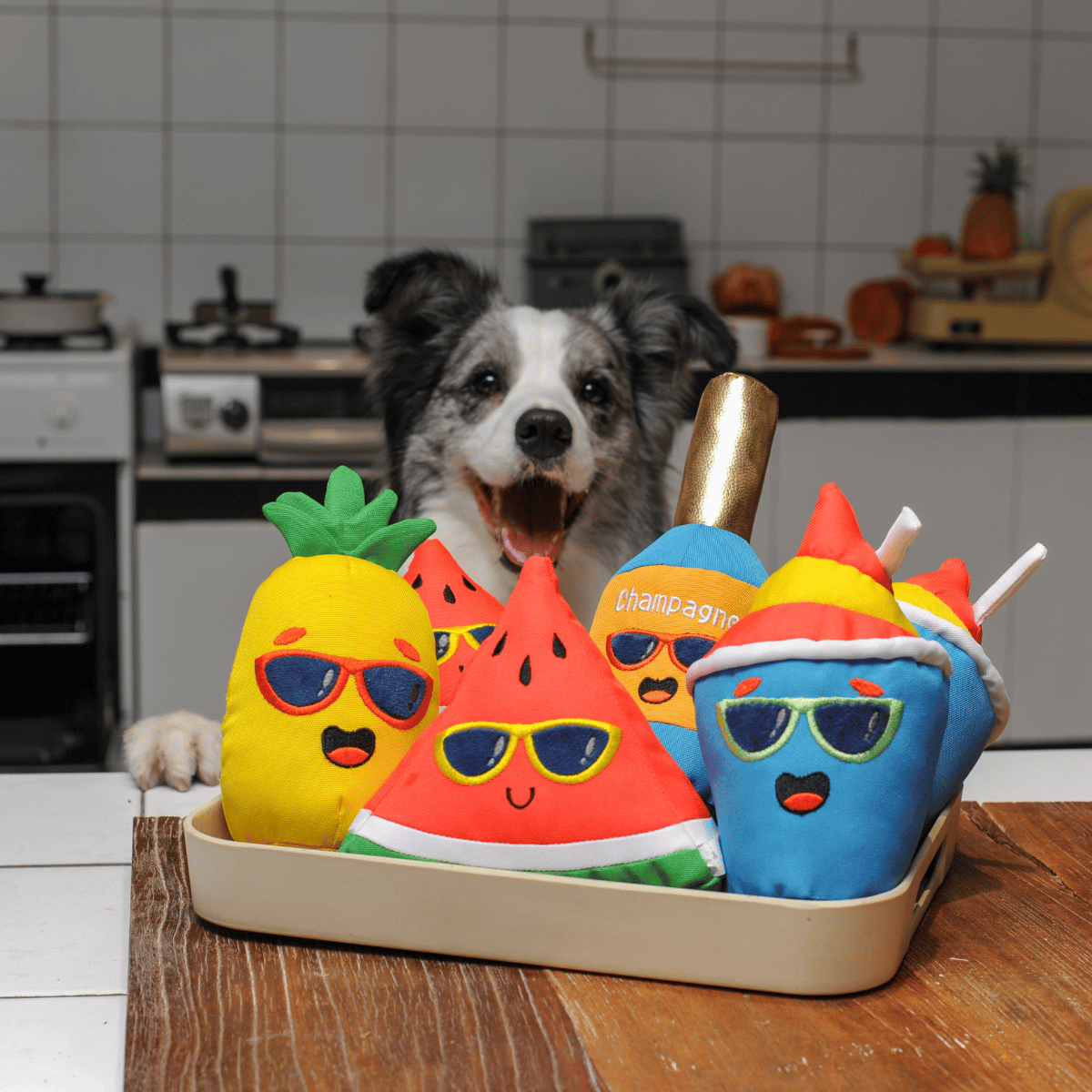 A cute Border Collie peeking over the Petstify Summer Party dog toy collection in a tray.