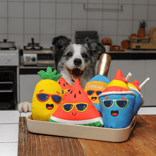 A cute Border Collie peeking over the Petstify Summer Party dog toy collection in a tray.