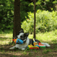 A Border Collie dog resting outdoors while holding the Petstify Summer Party Ice Cream plush toy.