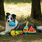 A happy Border Collie dog lying on the grass with the full set of Petstify Summer Party plush toys.