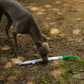 Greyhound sniffing the Petstify I Love Vegetables Onion plush dog toy on the ground.